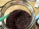 Feeding my Grammostola rosea slings, crickets...