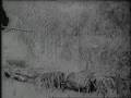 videos de Paisa-1946. Marismas de Venecia