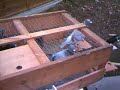 brian-stevenson-winners-1-racing-pigeons.html