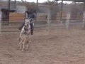 aramis