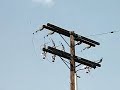 Probe Craft Entering Giant UFO September 11th 2009 Lemoore California