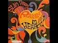 Jim Morrison Slim Harpo tribute [Rainin' in my heart]