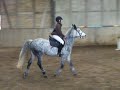 CSO SEEBACH 22/11/2009 : OCEANE et QUERIDA (CLUB PONEY 2 VITESSE)