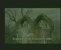 Resident evil 4-8