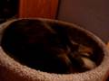 Princess Minnie Dancing to her song 1