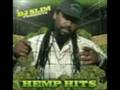 2008 MASSCANN/NORML BOSTON FREEDOM RALLY UPDATE: HIGH TIMES / NORML / WBCN EVENT
