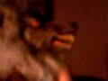 Werewolf #1