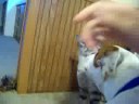 Rosco being jealous