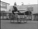 PJ Ladd DC Shoes Footage