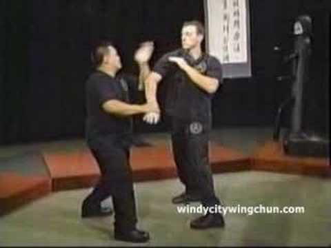 Wing Chun Attacks See video