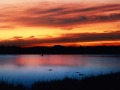 Michael Stearns - Morning