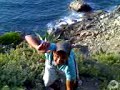 rere