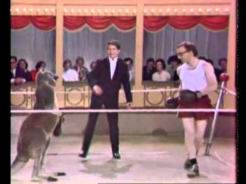 canguro - Woody Allen boxeando contra un canguro La nota: http://quejalada.com/2011/11/woody-allen-peleando-con-un-canguro/