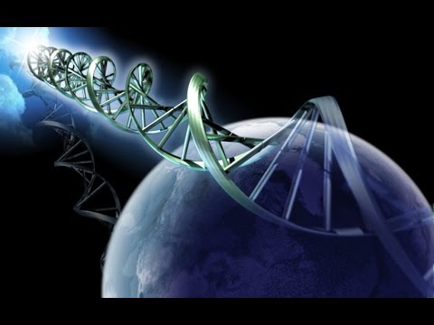 how to discover evidence