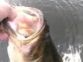 Cool fishing fun Cool fishing fun
