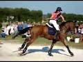 2008 world cup eventing final in Deauville