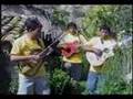ALBA ANDINA DE LLUSITA - AYACUCHO