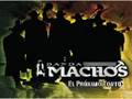 videos de banda machos - el proximo tonto
