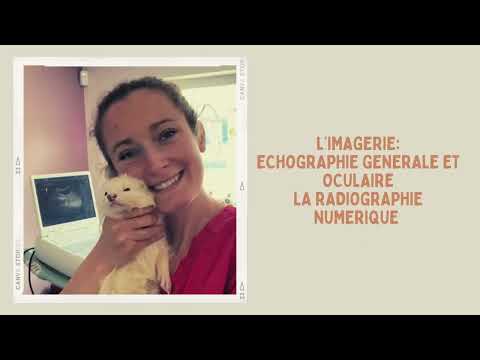 Présentation de la Clinique Vétérinaire !