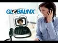 5Linx Enterprises, INC. BUSINESS OVERVIEW!