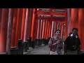 The Inari Shrine at Fushimi - crazy beautiful place covered in hundreds of Torii.  Japan's most famous Fox Shrine.  With many paths through the mountain, it's a shrine with replay value.