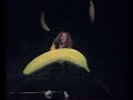 Neca Falk-Banane Neca Falk-Banane
