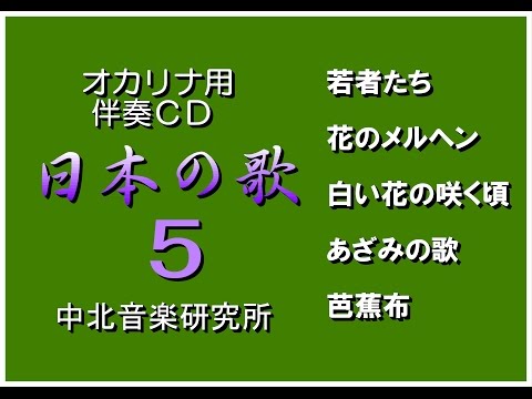 動画