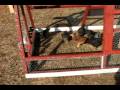 DIY Build a CHEAP Chicken Tractor