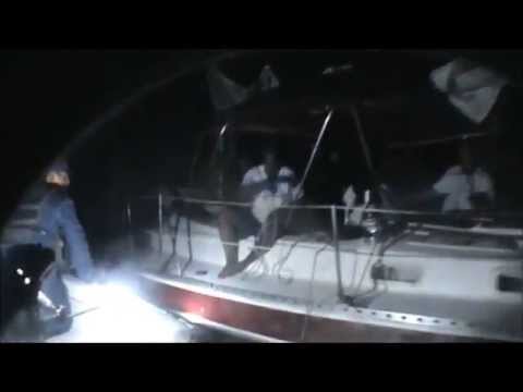 Ver vídeo
