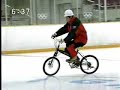 ２ｗｄ自転車