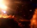 anathema-angelica