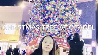 christmas tree and snow at citadel