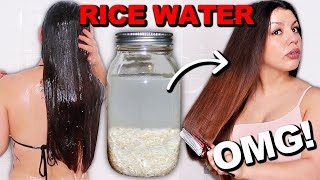 RICE WATER FOR EXTREMELY FAST HAIR GROWTH  The Bes