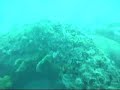 yo buseando en aguadilla crash boat 01