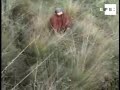 centro arqueológico descubierto en perú reaviva mito de el dorado