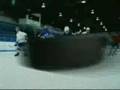 Labatt Blue - Bear - Hockey