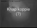 Kerkuilen van ei tot volwassen