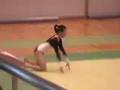 Sagamihara gymnastics SRC floor