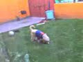 ToBYs JuGANdo