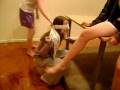 obsticle course