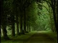 Tara,diosa de la compasion,Madre universal.La salud solo puede ocurrir a traves del amor y la compasion.