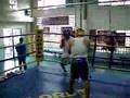 Elorde Boxing Gym