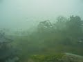 Guerrilla Heavy Rain