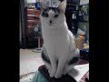 ������֥����ߤäƤ���