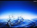 Martin Accorsi & Jeremy Bassetti - Until the End