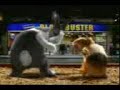 my pets