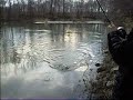 3 Pound Channel Catfish at Embarras River, IL