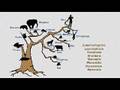Nature: Platypus Genome