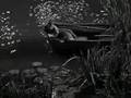 Thumbnail of video Escena de La Noche del Cazador de Charles Laughton