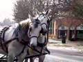 Old Wethersfield Holiday Horse Drawn Carriage Tours